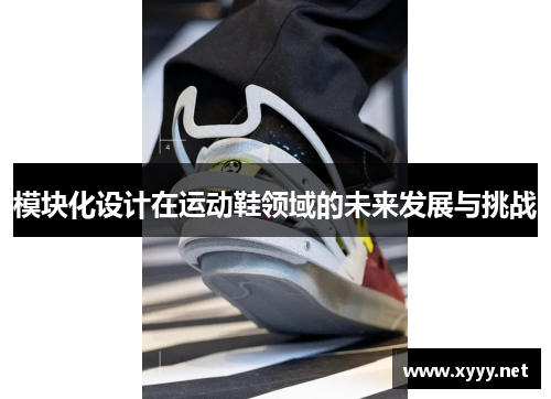 模块化设计在运动鞋领域的未来发展与挑战
